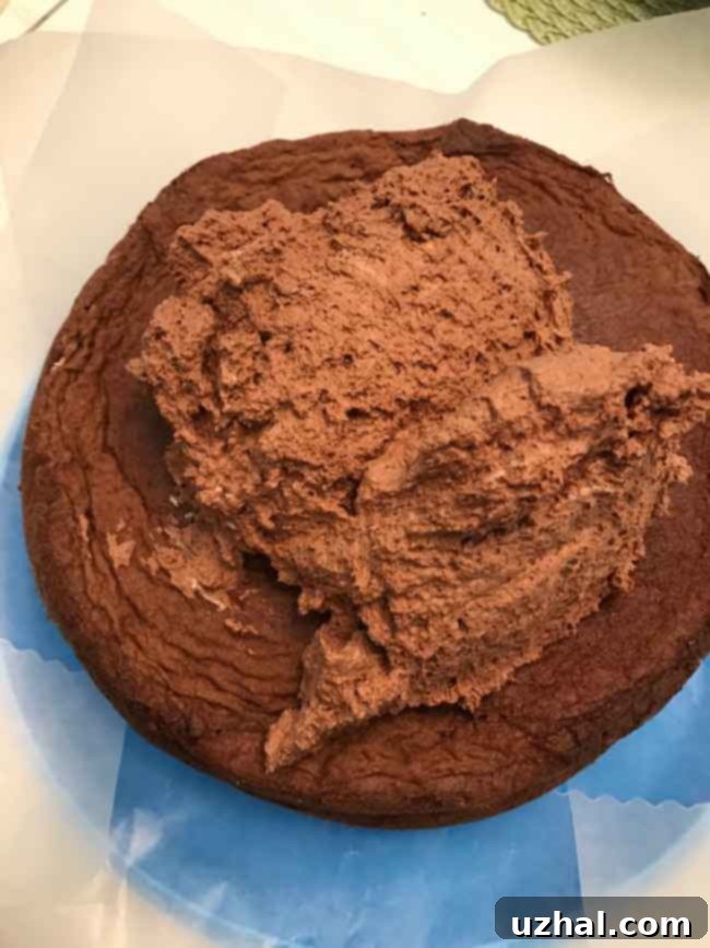 Curdled chocolate frosting for September 7th Cake