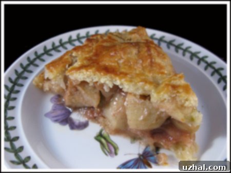 Slice of Dawn's Best Apple Pie Ever