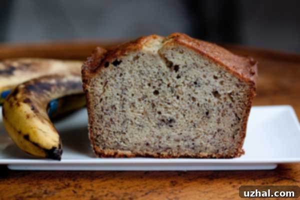 Sour Cream Banana Bread - Deliciously moist and tender
