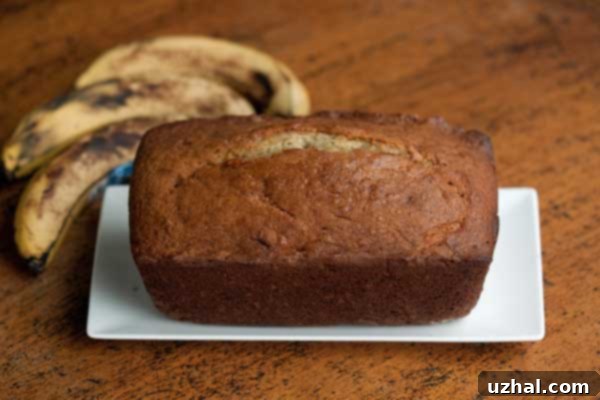 Sour Cream Banana Bread in various loaf sizes, including mini loaves