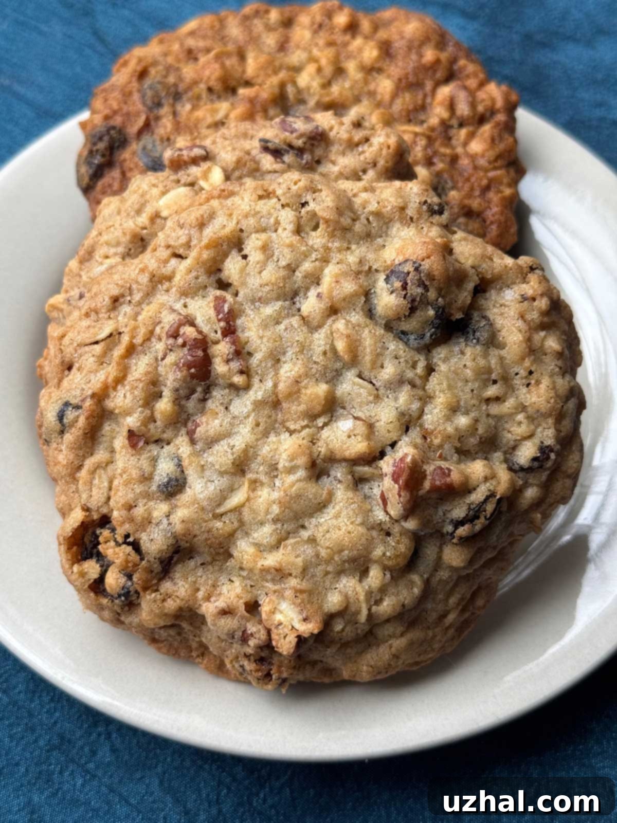 Irresistible Flat and Chewy Small Batch Oatmeal Cookies, a perfect homemade treat.
