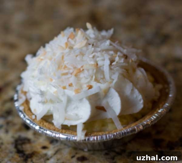 Close-up of a Miniature Coconut Cream Pie with whipped cream and toasted coconut