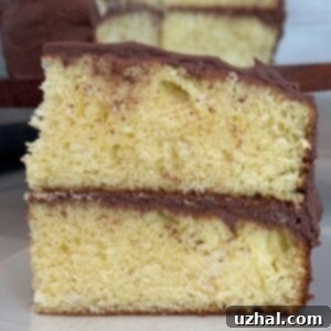 Slice of Cook's Illustrated Yellow Cake made using the reverse creaming method