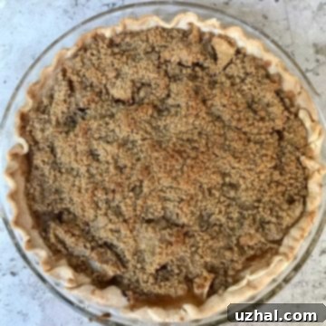 Dutch Apple Pie