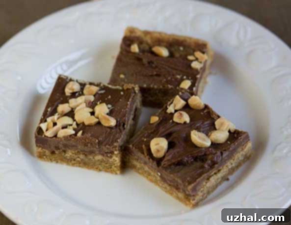 Peanut Butter Bars with chocolate topping