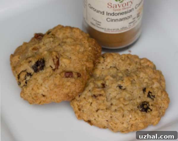 Indonesian Cinnamon Oatmeal Raisin Cookies