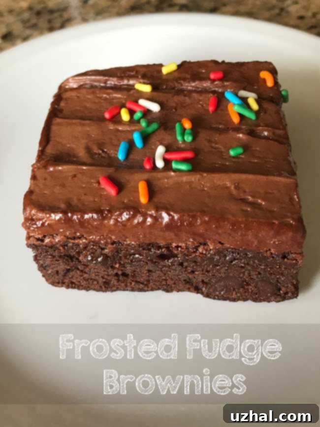 Close-up of freshly baked frosted fudge brownies, showing the rich chocolate base and creamy topping.