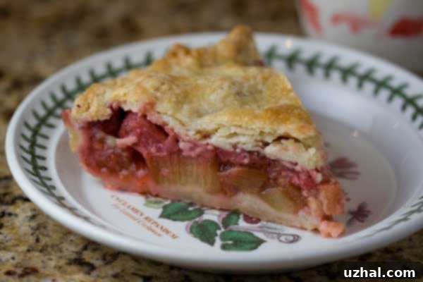 slice of strawberry rhubarb pie