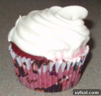 A second cupcake, still homemade and charmingly imperfect, showcasing a slightly neater frosting application