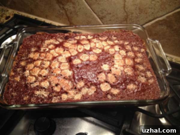 Marshmallow-infused Coca Cola Cake, showcasing its moist texture