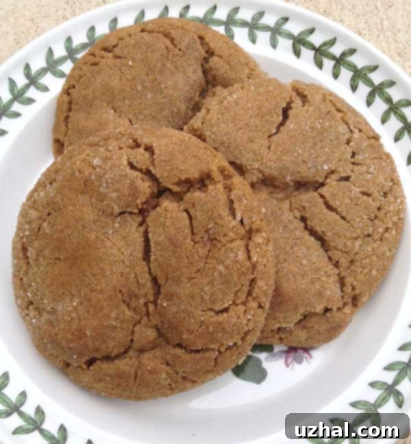 Colossal Ginger Cookies