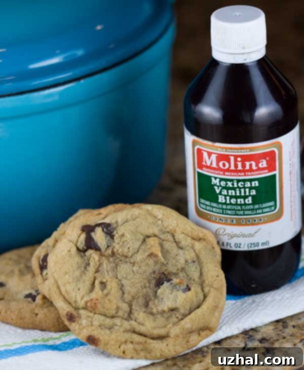 Molina Mexican Vanilla Chewy Chocolate Chip Cookies - close up view of baked cookies