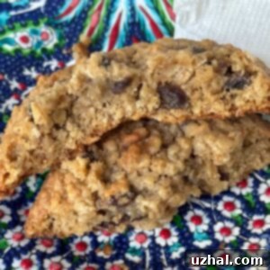 Megan's Favorite Oatmeal Cookies