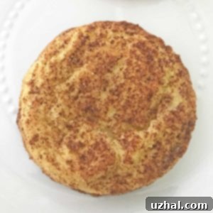 Buttery Snickerdoodles