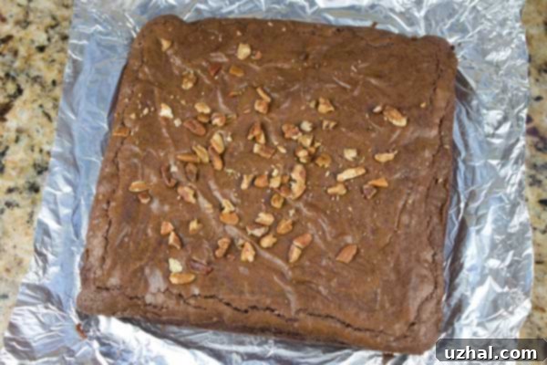 Shiny Top Fudge Brownies