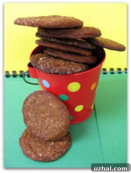 Classic English Gingersnaps 3 An older photo of English Gingersnaps, showing less cracking and more spread, likely due to a softer dough consistency.