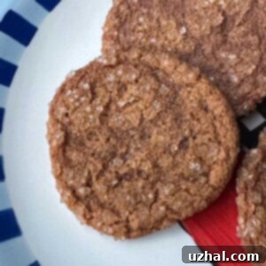 Maida Heatter's English Gingersnaps #2 recipe from Maida Heatter's Great Cookies