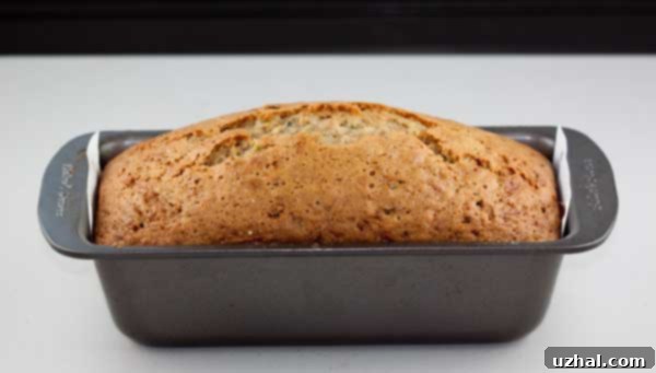 Golden brown Zucchini Bread loaf, ready to be sliced