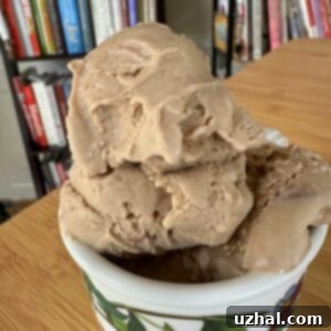 Mocha Latte Ice Cream or Coffee Ice Cream