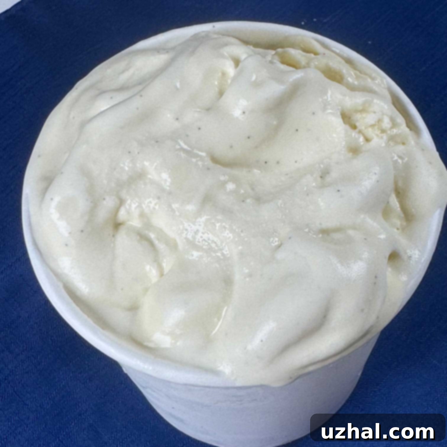 Mexican Vanilla Ice Cream
