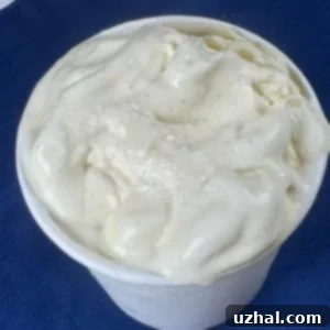 Mexican Vanilla Ice Cream