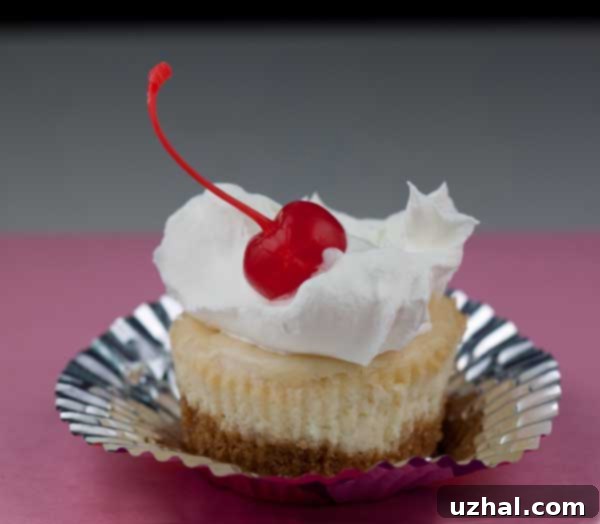 Key Lime Cheesecake