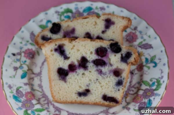 Blueberry Sour Cream Loaf Cake