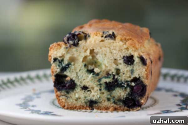 Blueberry Bread
