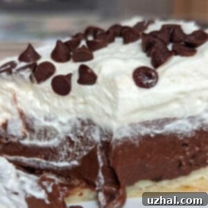 Vintage Pet Milk recipe for Evaporated MIlk Chocolate Cream Pie texture shot