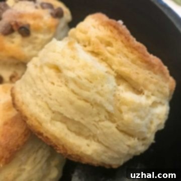 Layered Biscuits
