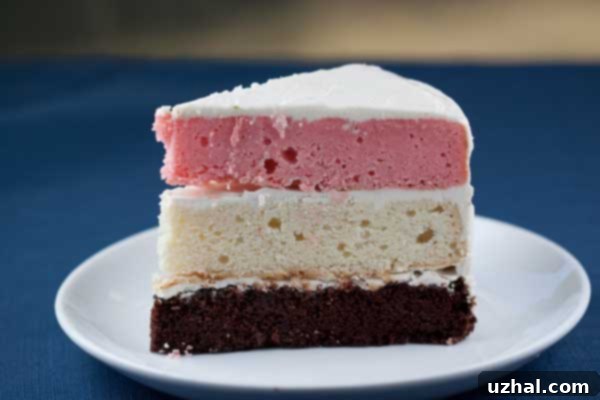 Neapolitan Cake From Scratch