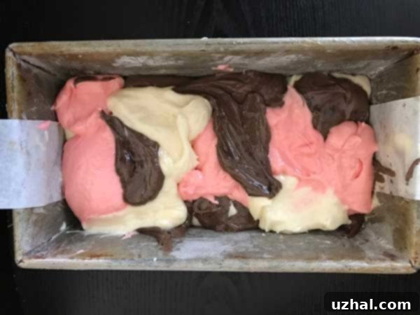 Close-up of the Neapolitan cake batter, showing the three distinct colors of vanilla, chocolate, and strawberry before baking.