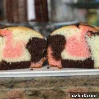 neapolitan cake