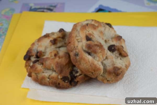Delicious Chocolate Chip Cookies crafted with Bisquick