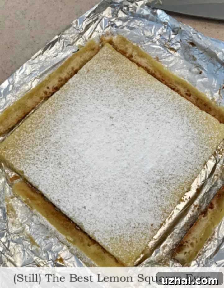 Best Lemon Squares Ever baked in an 8 inch square pan.