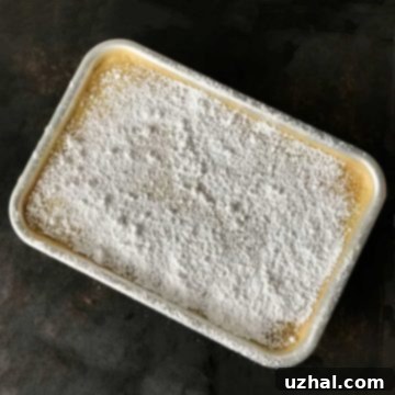 Sheet Pan Lemon Bars