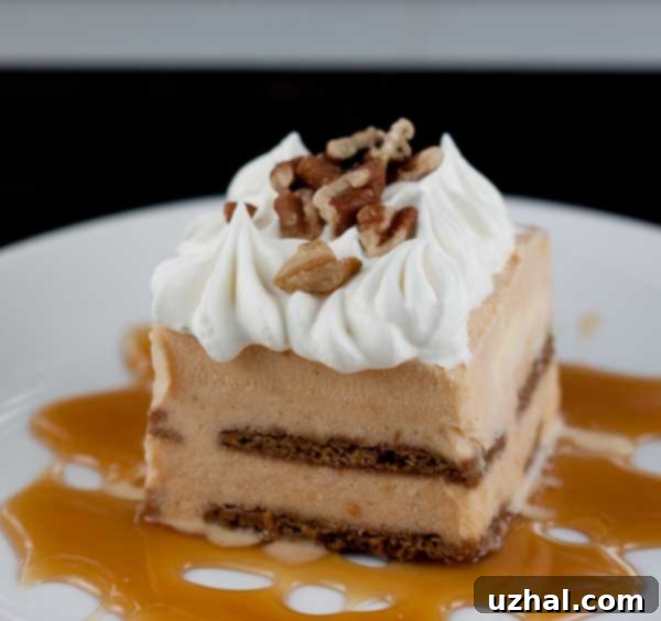 Spiced Pumpkin Ice Cream Squares