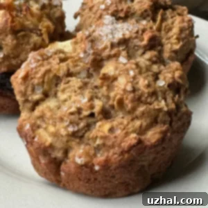 Terry's Oatmeal Apple Muffins - A Deliciously Healthy Recipe