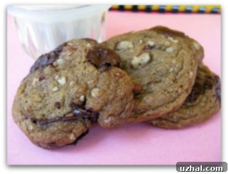 James Villas Pecan Chocolate Chip Cookies - A close-up shot of rich, dark brown sugar cookies with pecans and chocolate chips