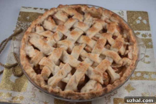 Favorite Pie Crust