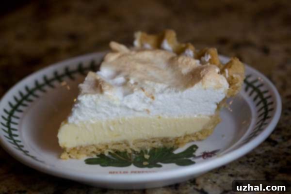 Unbaked pie crust
