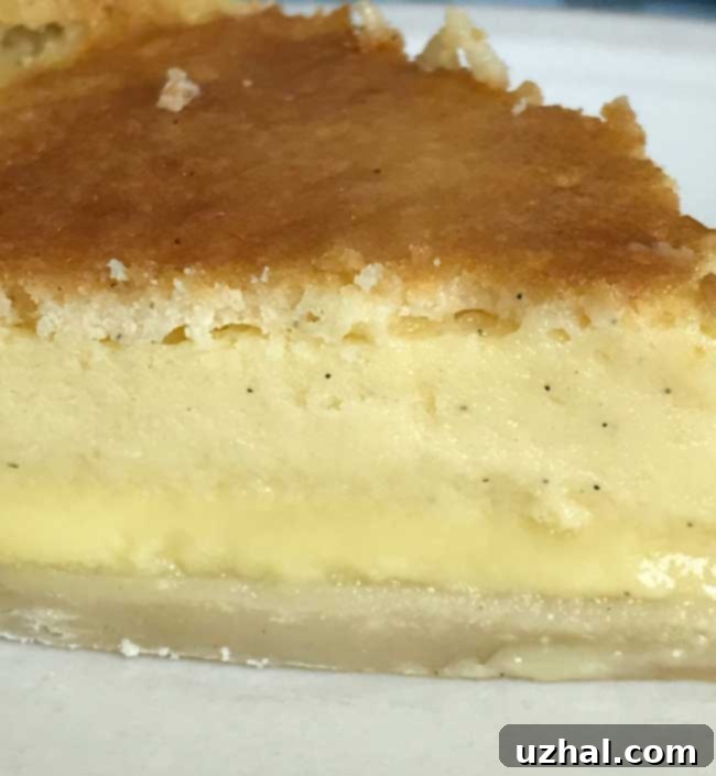 Baked Buttermilk Pie with two distinct layers, showcasing its creamy texture