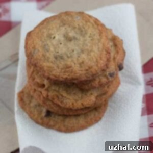 Bob's Gluten-Free Chocolate Chip Cookies made with gluten-free flour