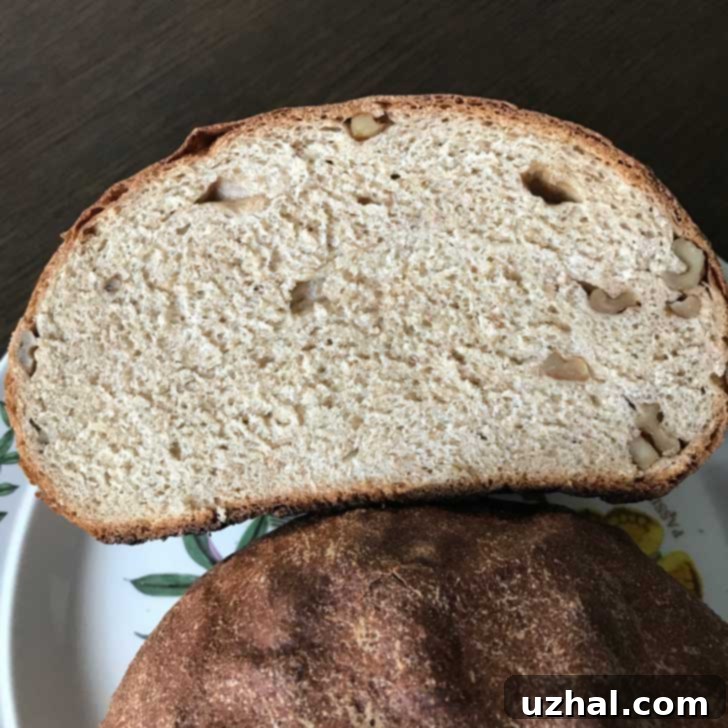 Close-up of a slice of Whole Wheat Walnut Bread, showing the dense crumb and walnuts.