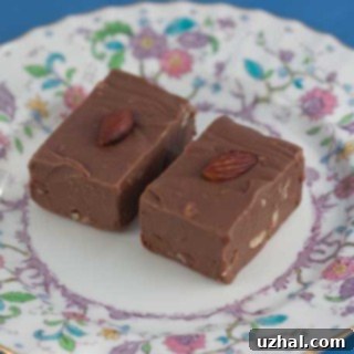 milk chocolate fudge