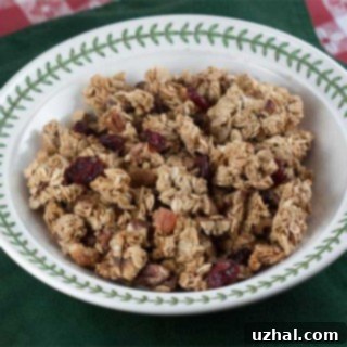 Clumpy Granola Without Oil - A close-up of crunchy, oil-free granola clusters.