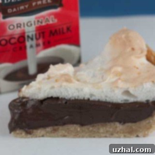 dairy free chocolate pie