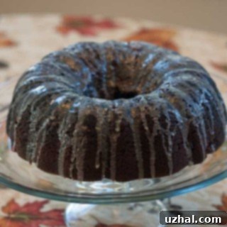 Delicious Chocolate Cherry Bundt Cake