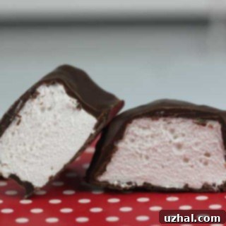 Chocolate Covered Marshmallows