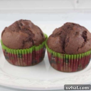 Close-up of a delicious Triple Chocolate Muffin with melted chocolate chips visible